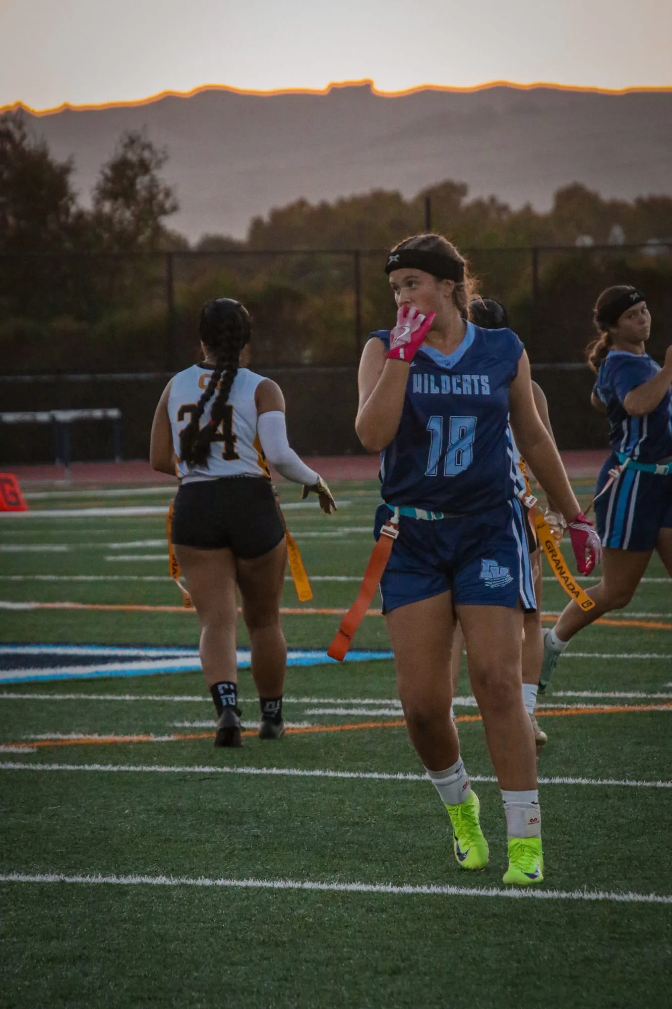 Flag Football — frame 8 of 85
