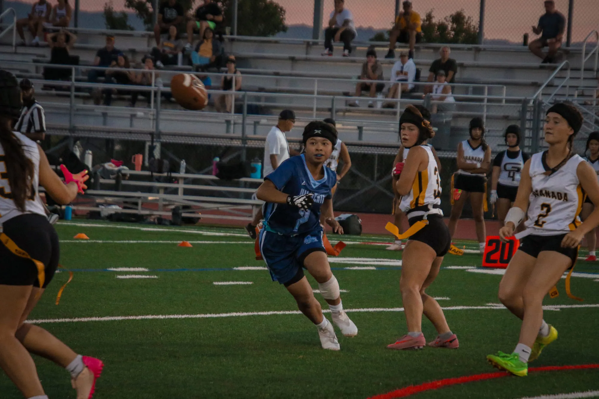 Flag Football — frame 38 of 85