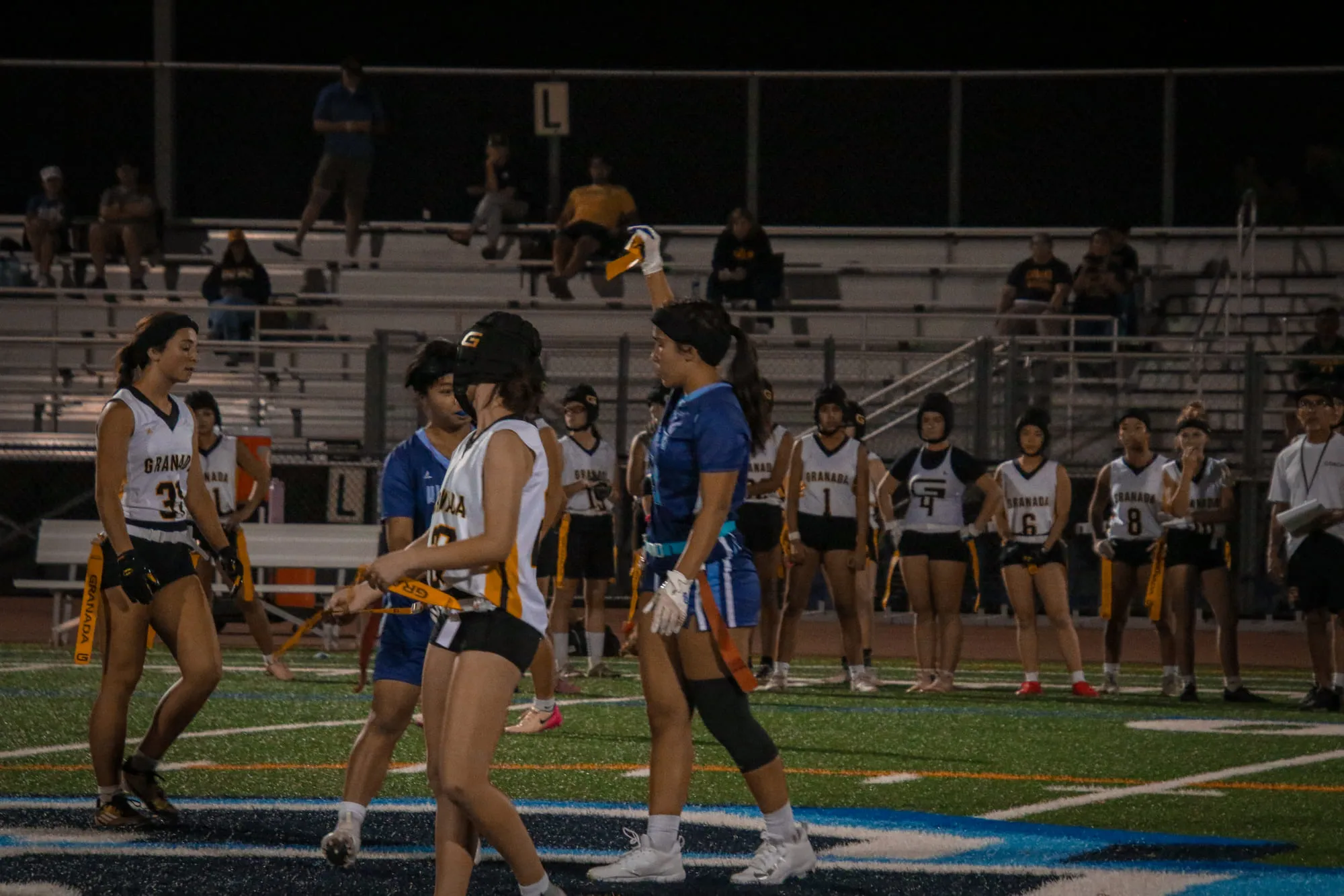 Flag Football — frame 50 of 85