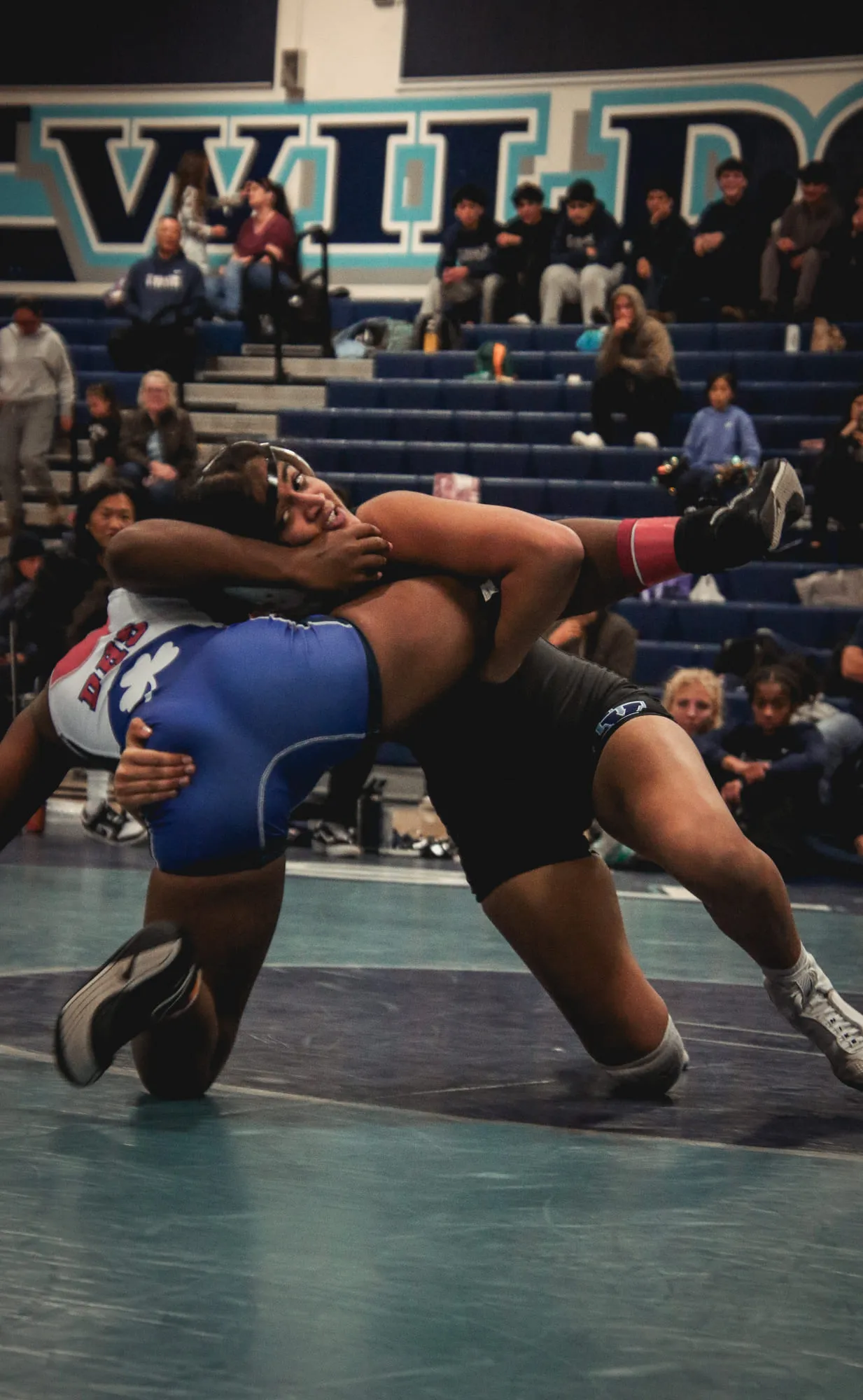 Wrestling — frame 11 of 235