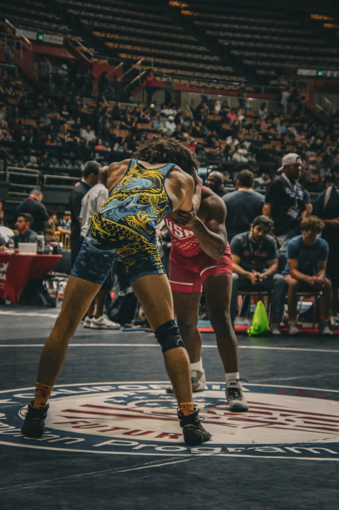Wrestling — frame 22 of 235