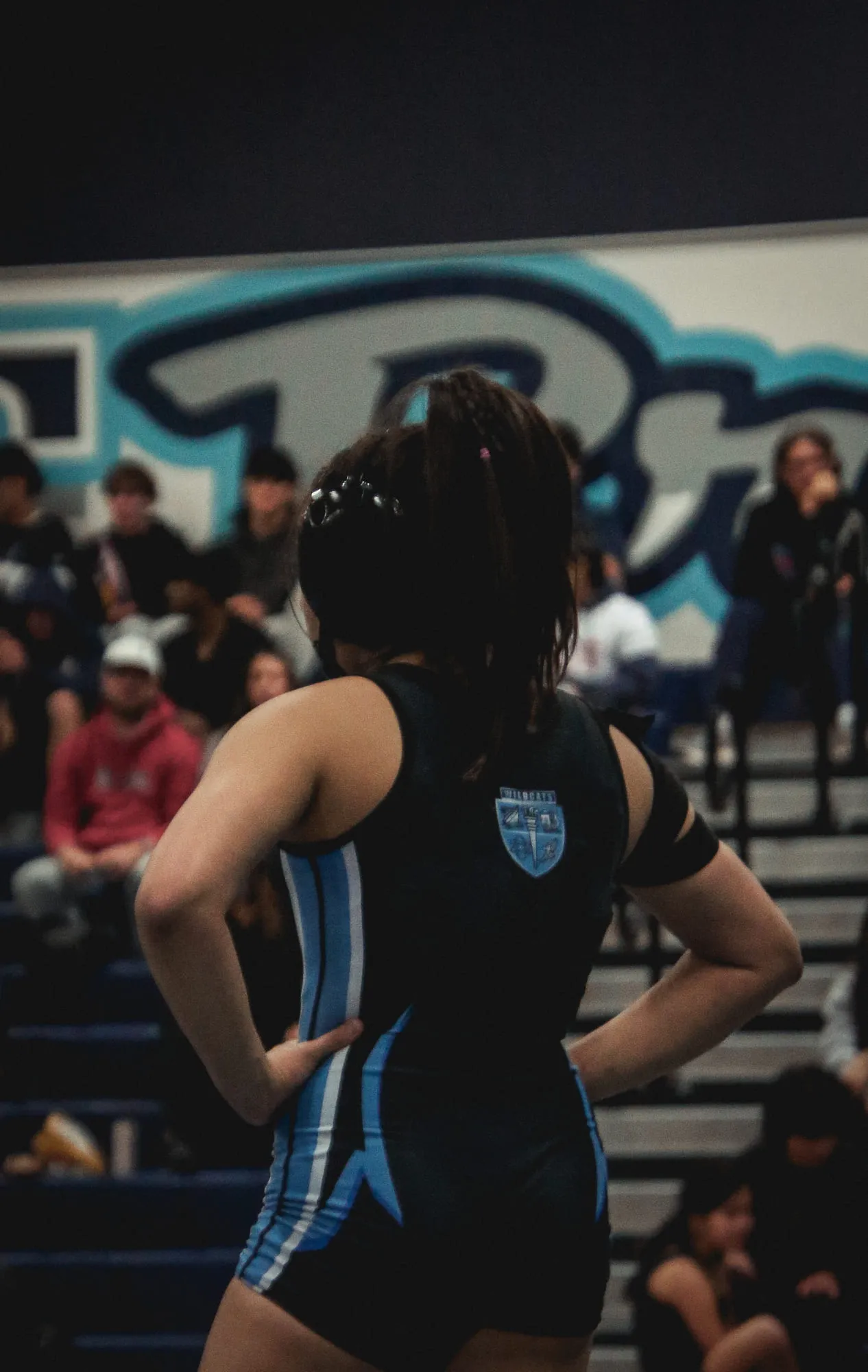 Wrestling — frame 92 of 235