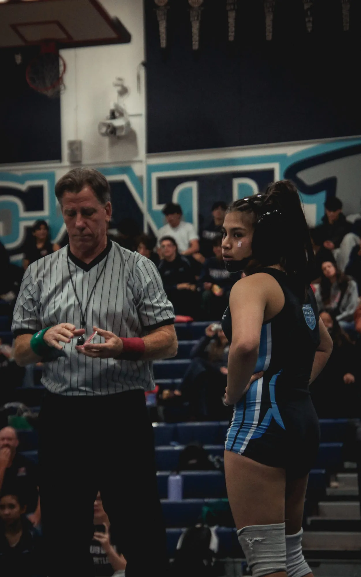Wrestling — frame 93 of 235