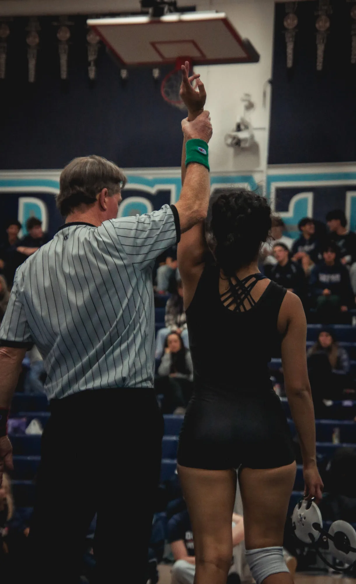 Wrestling — frame 100 of 235