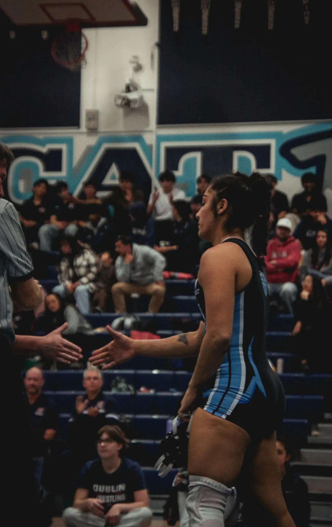 Wrestling — frame 107 of 235