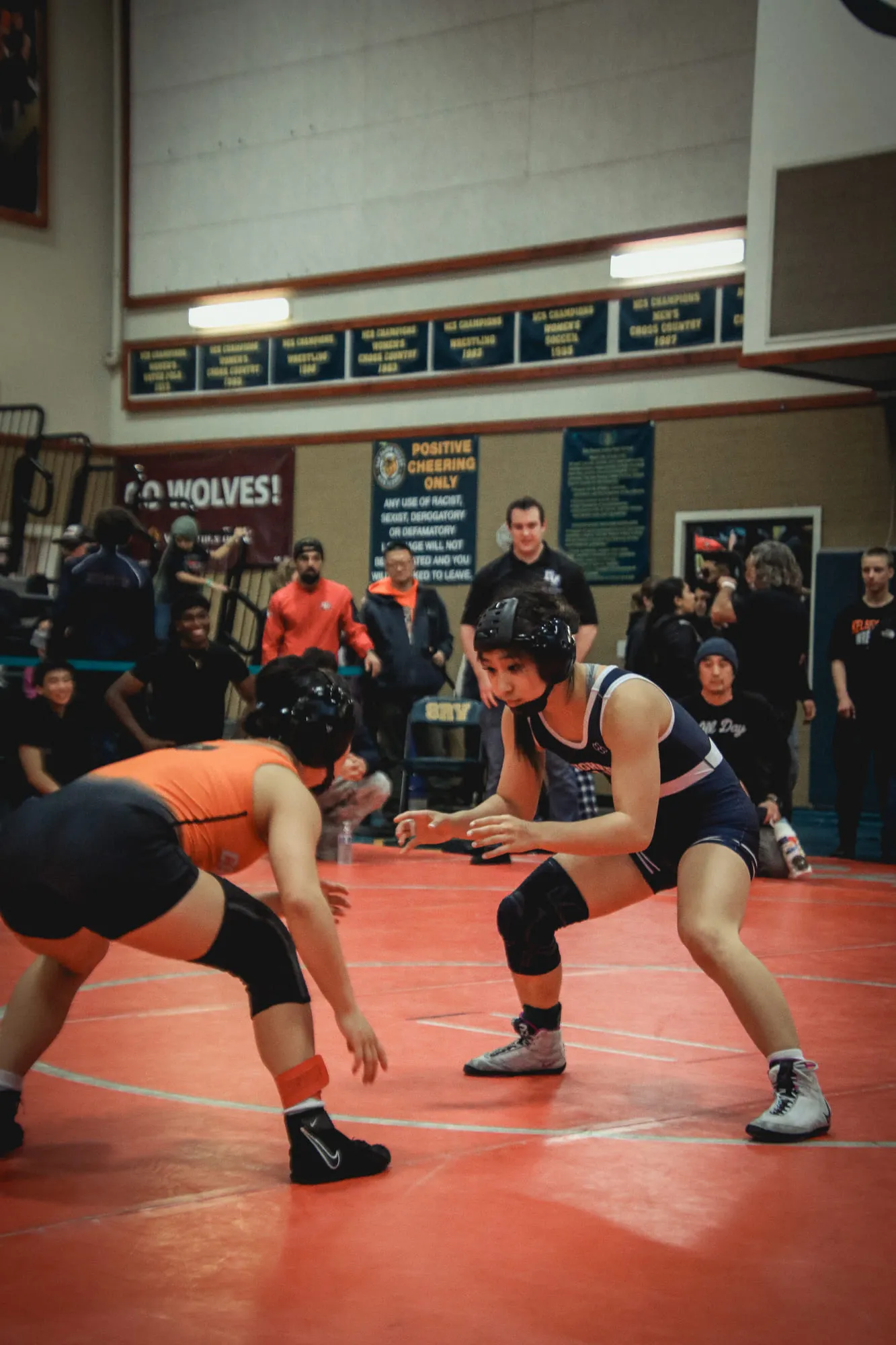 Wrestling — frame 141 of 235