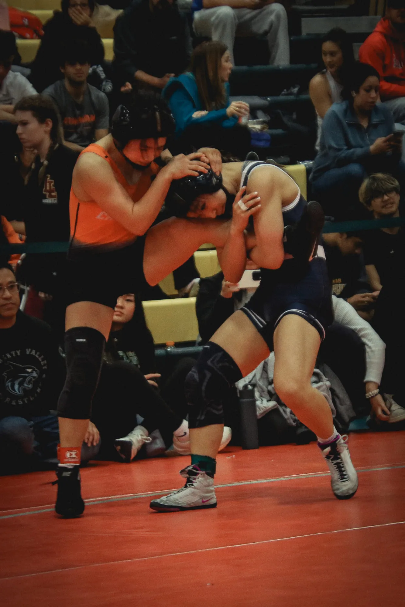 Wrestling — frame 143 of 235