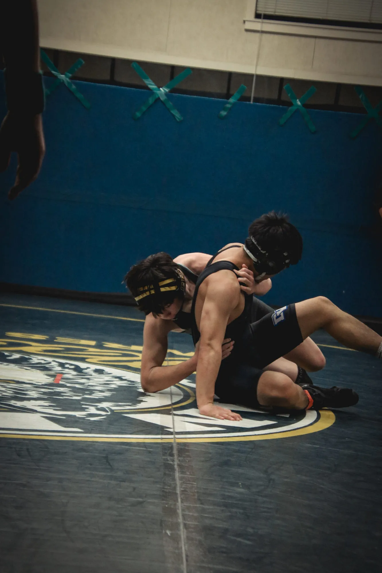 Wrestling — frame 187 of 235