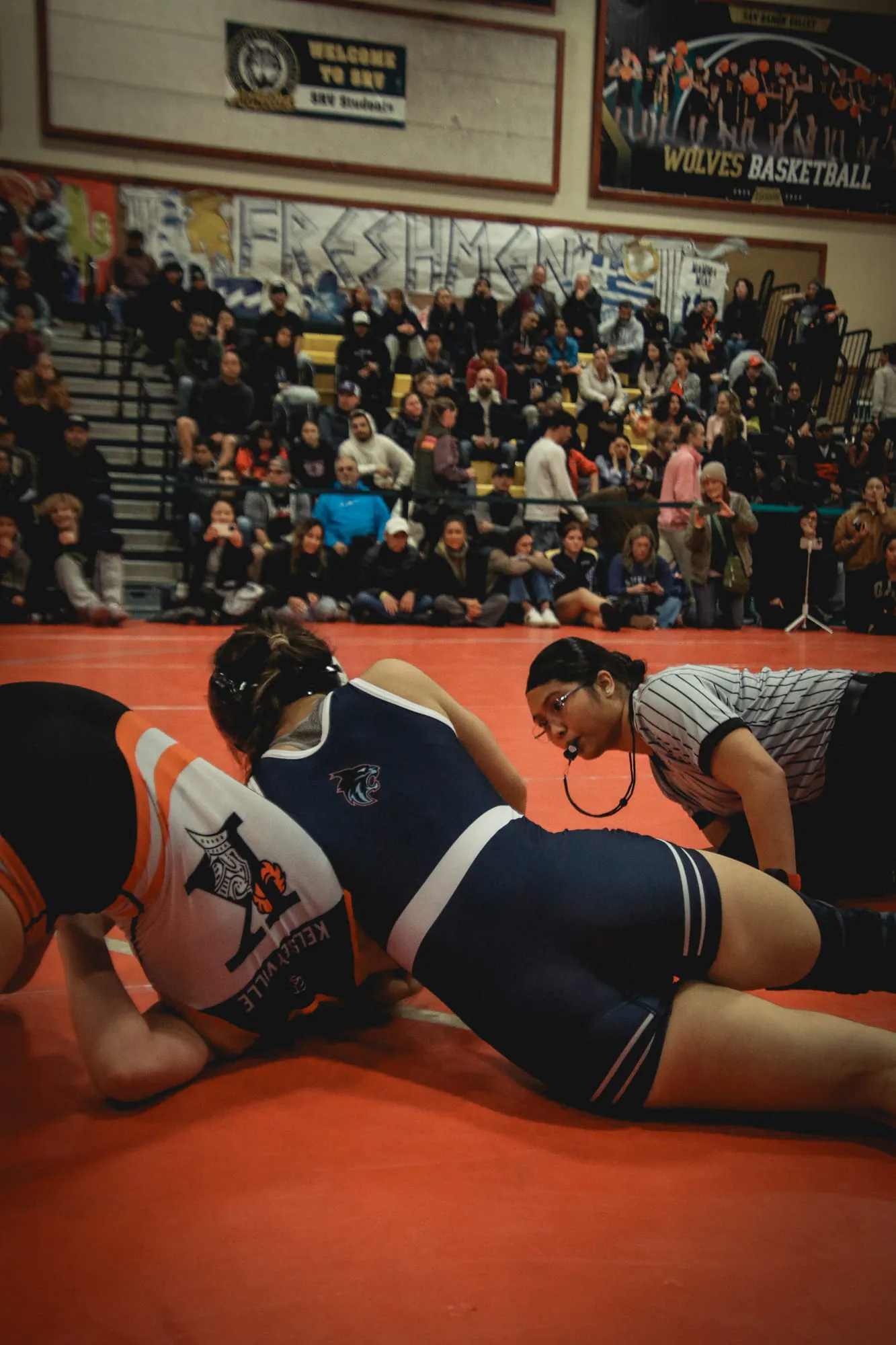 Wrestling — frame 194 of 235