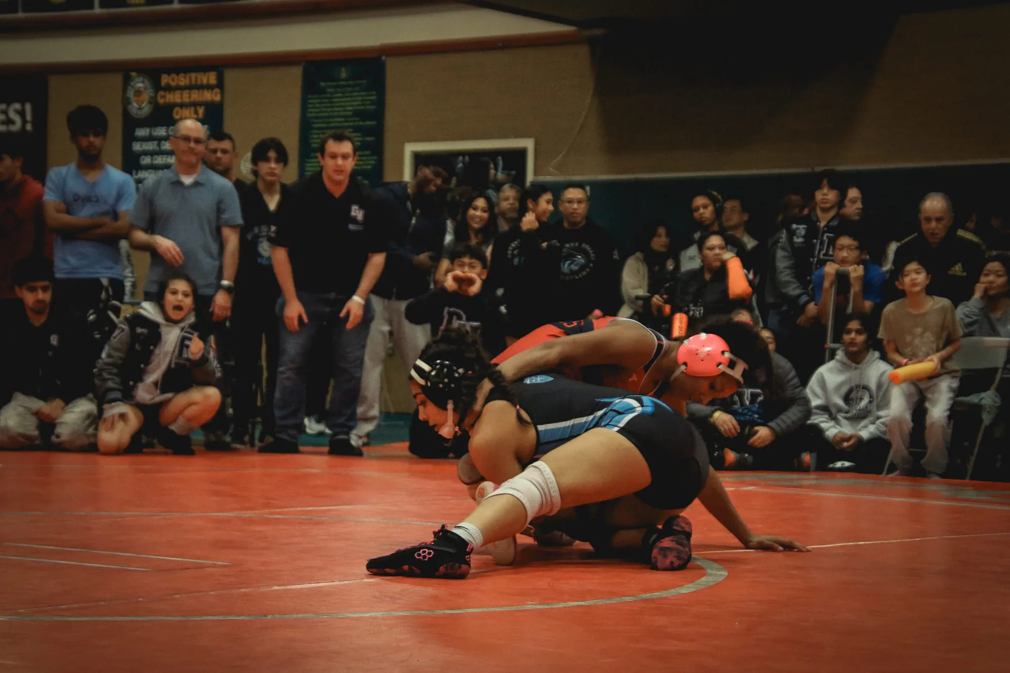 Wrestling — frame 200 of 235