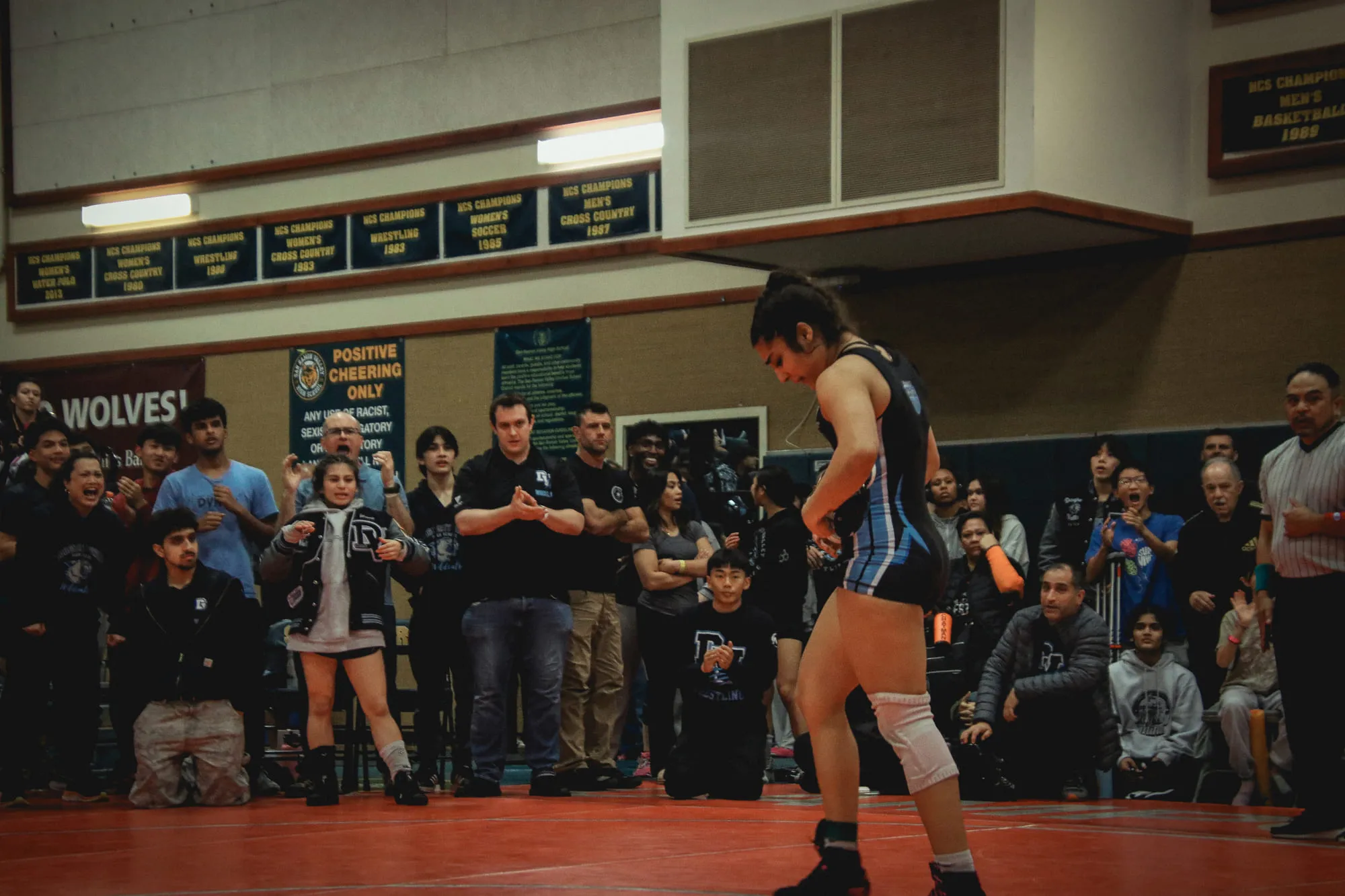 Wrestling — frame 201 of 235