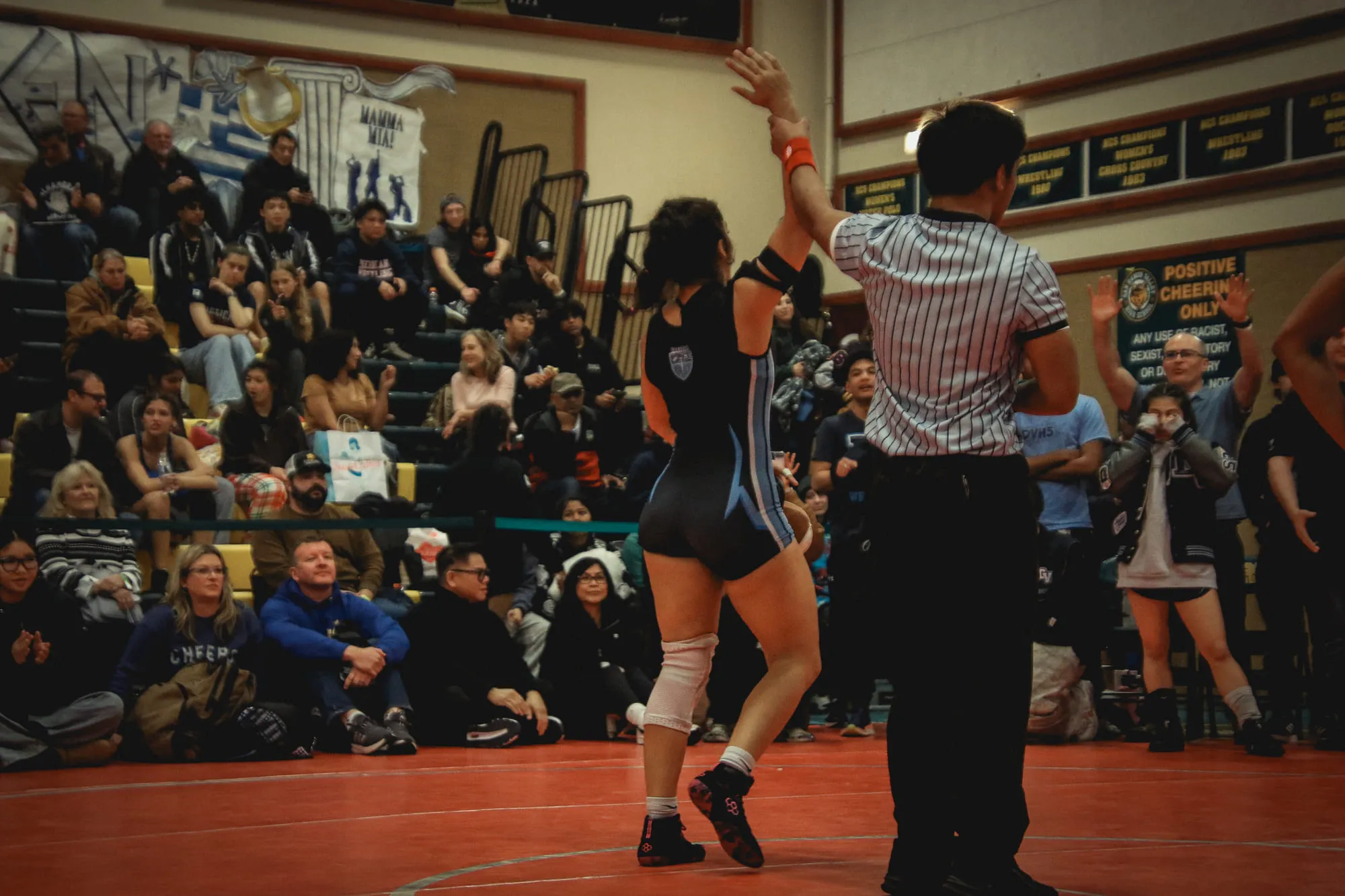 Wrestling — frame 202 of 235