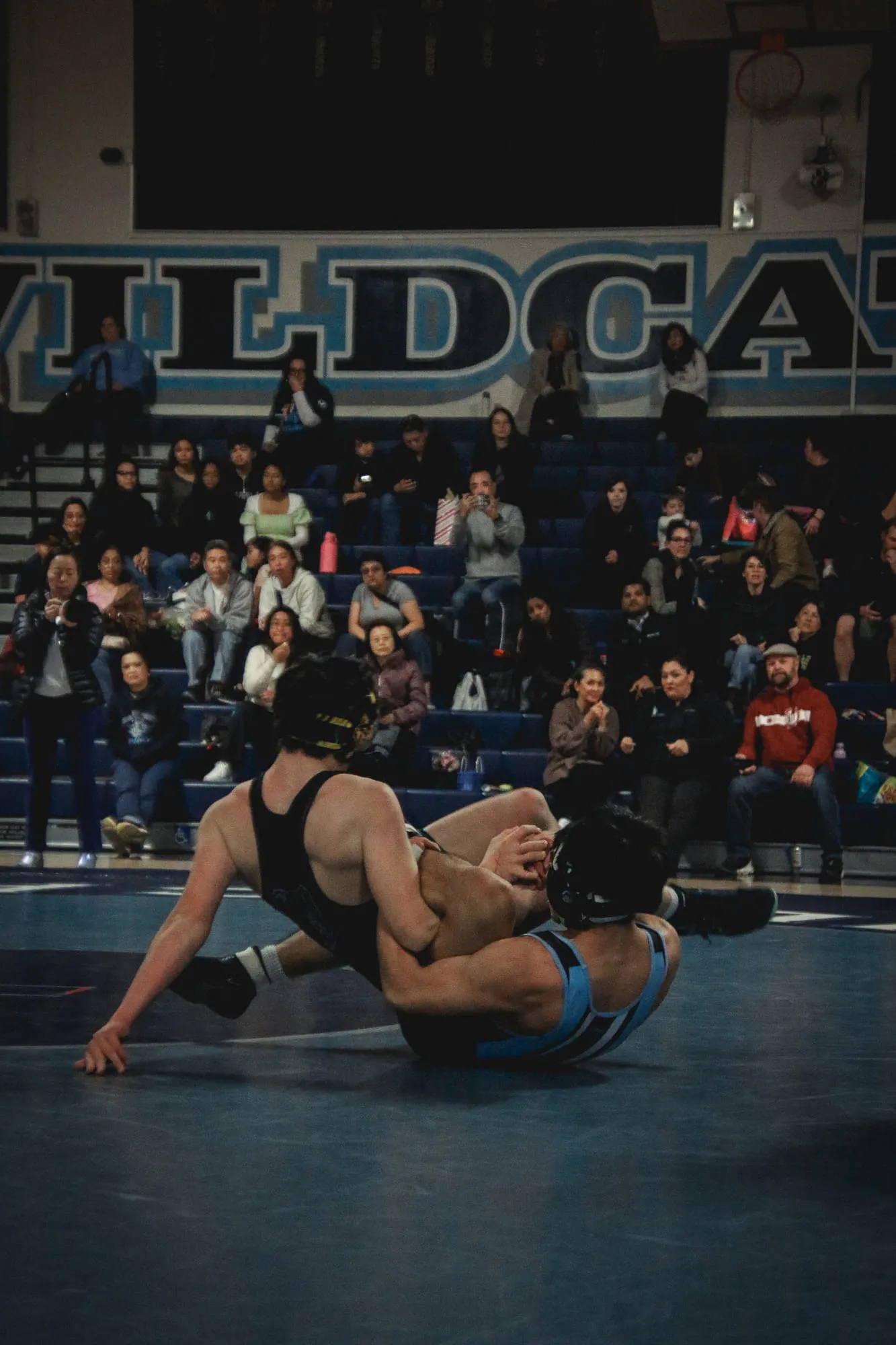 Wrestling — frame 223 of 235