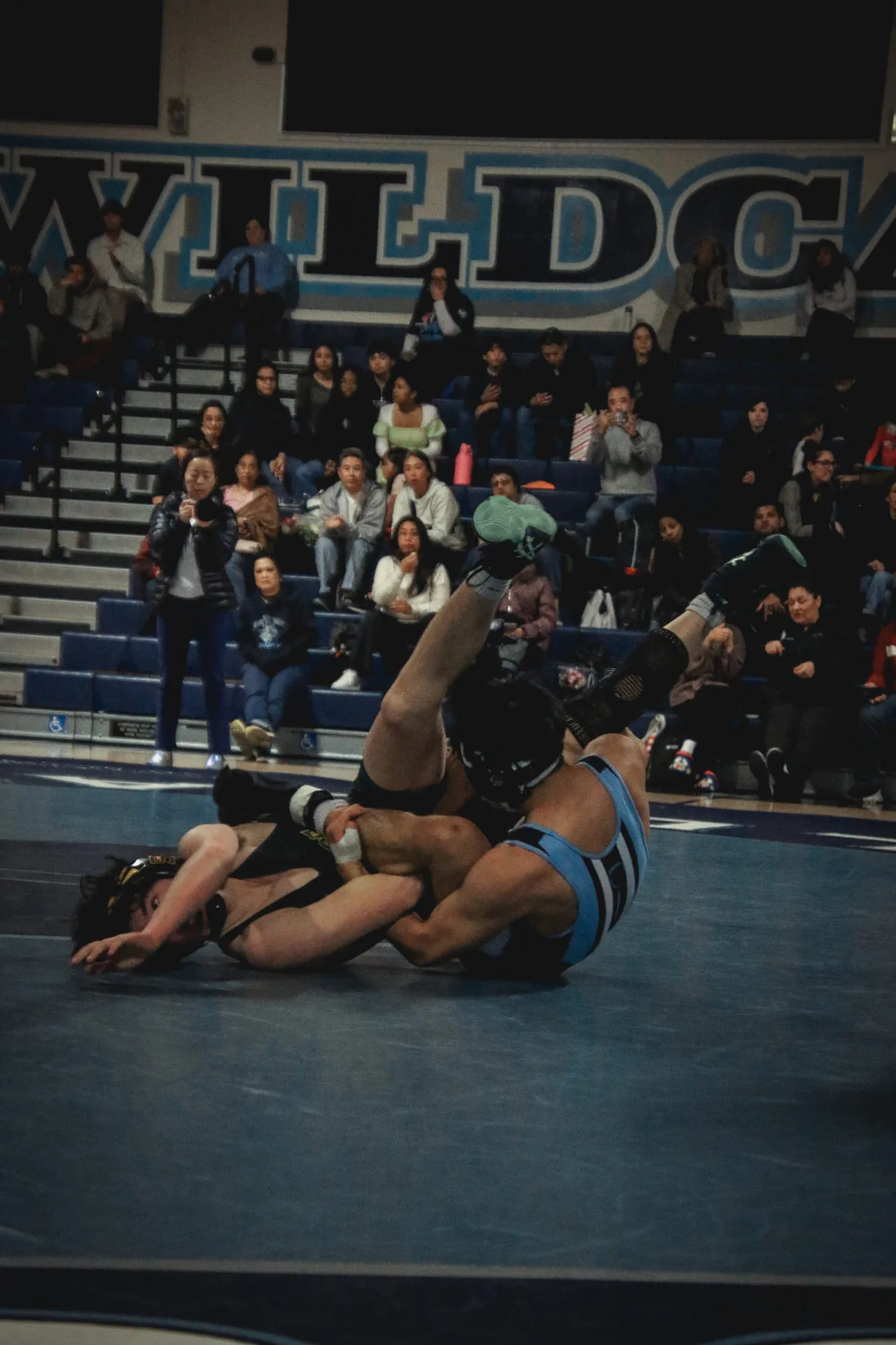 Wrestling — frame 224 of 235