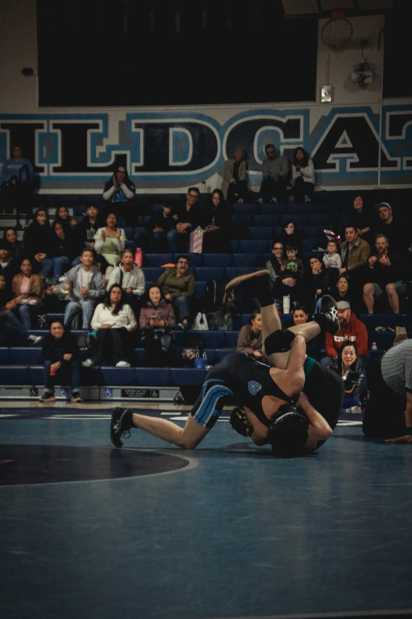 Wrestling — frame 230 of 235