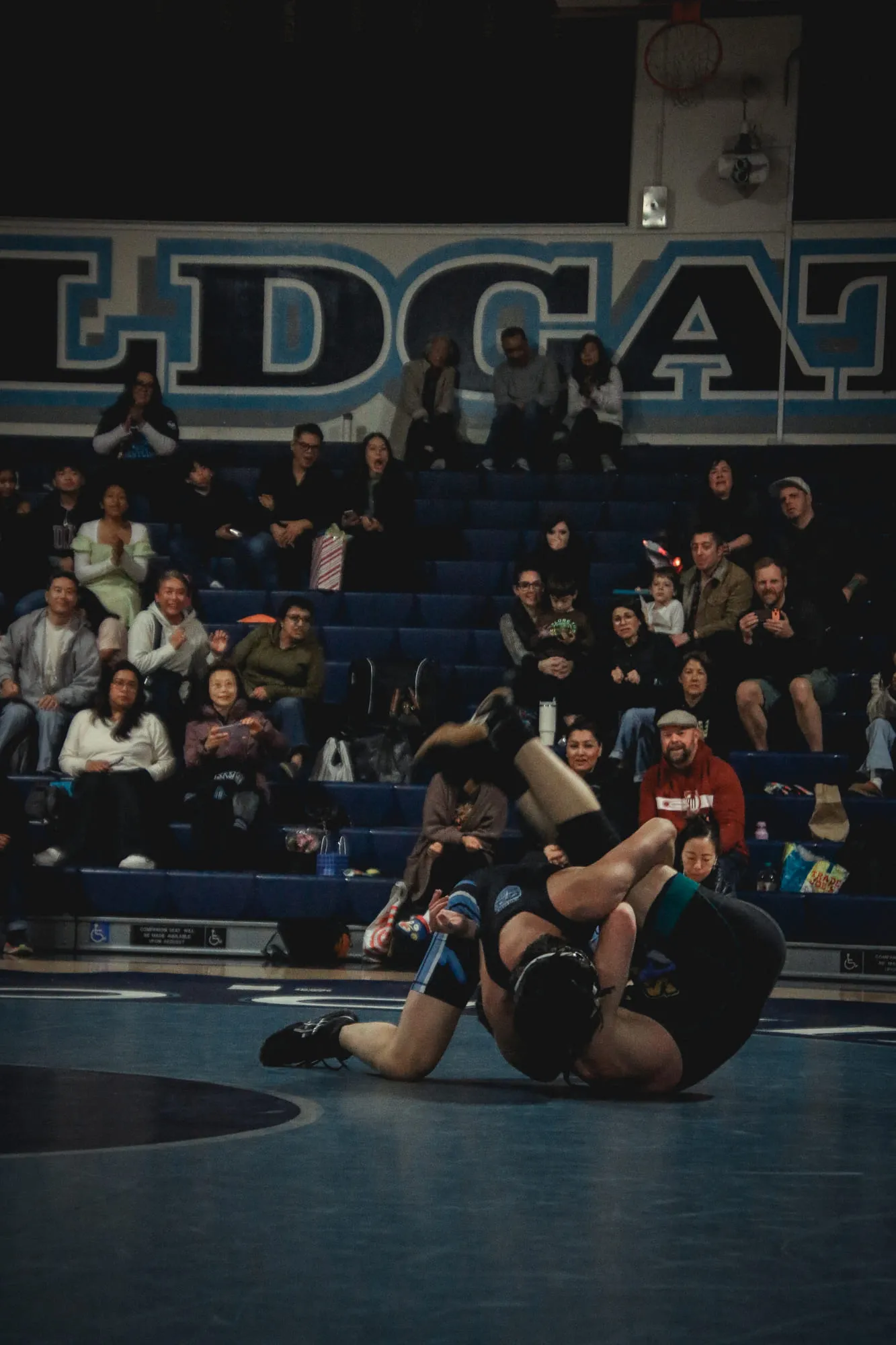 Wrestling — frame 232 of 235
