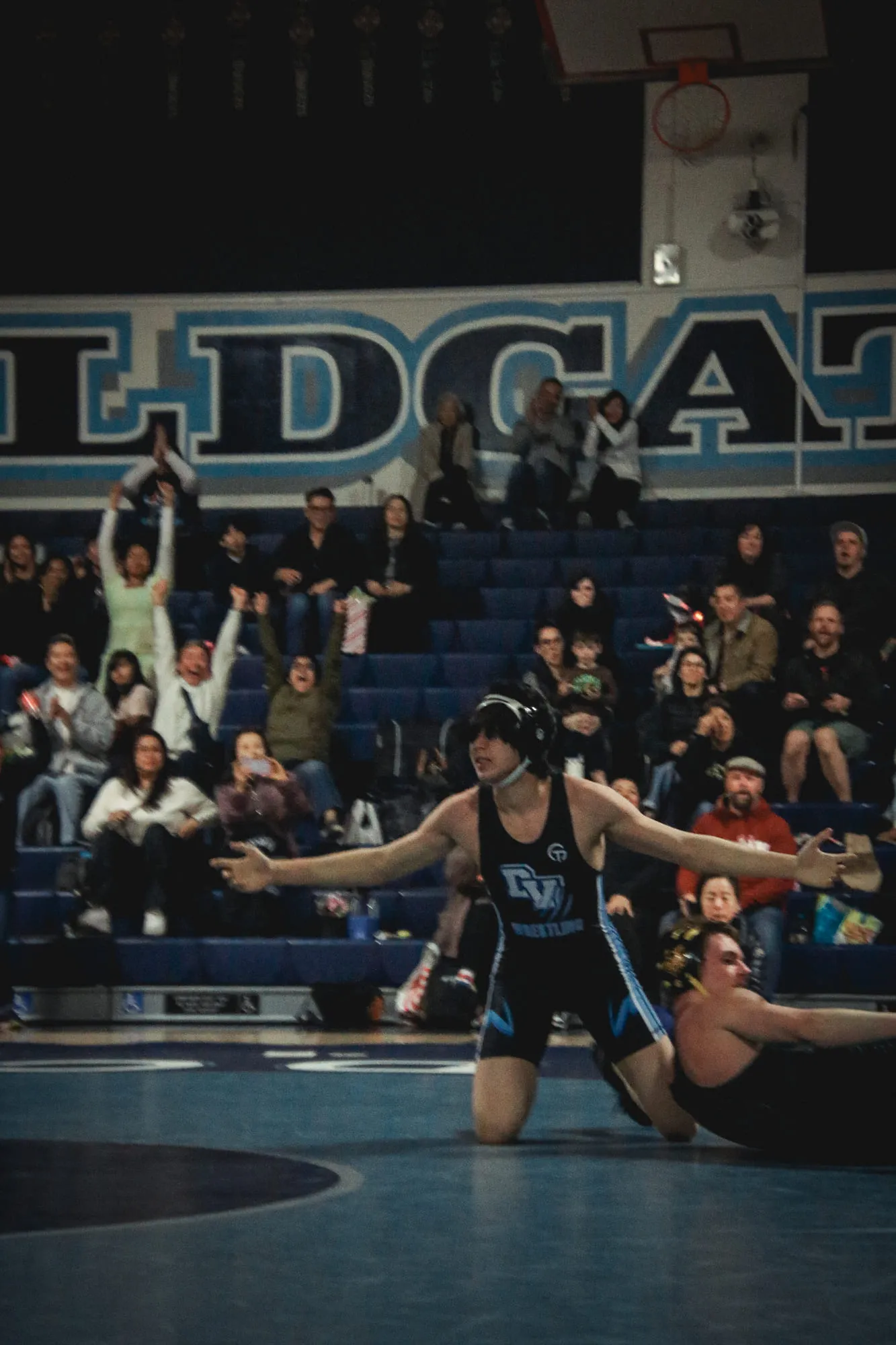 Wrestling — frame 234 of 235